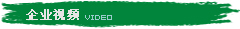企業(yè)視頻